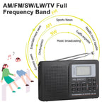 CS-106 10KHZ Multifunctional Full Band Digital Demodulation Stereo Radio Receiver, 10KHZ