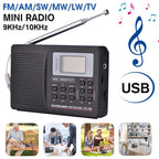 CS-106 10KHZ Multifunctional Full Band Digital Demodulation Stereo Radio Receiver, 10KHZ