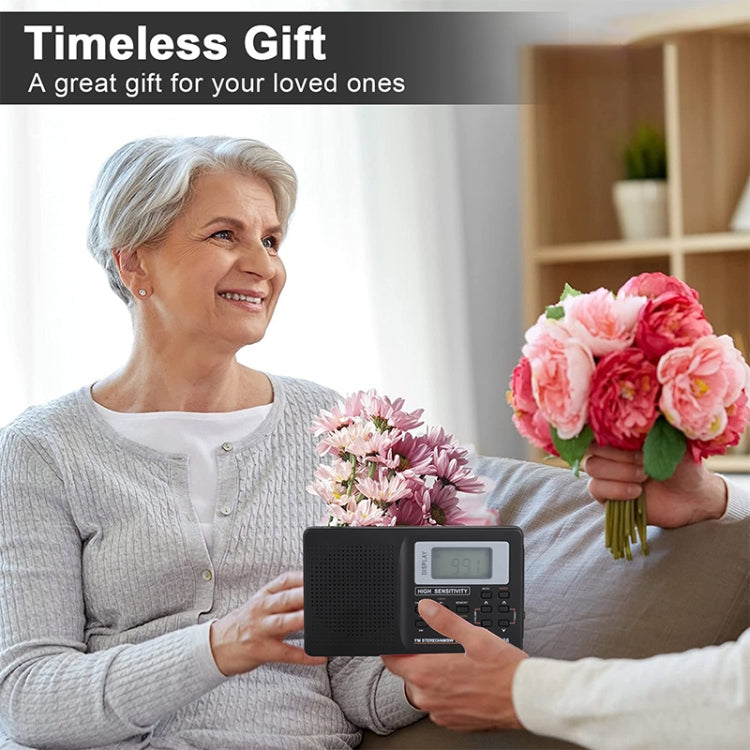 CS-106 10KHZ Multifunctional Full Band Digital Demodulation Stereo Radio Receiver, 10KHZ