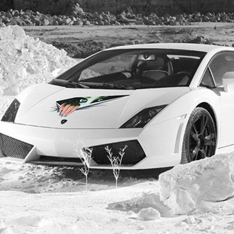 3D Characteristic Digital Simulation Horrible Style Car Paper Sticker, Exaggerated Effection 13, Exaggerated Effection 11, Exaggerated Effection 12
