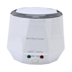 OUSHIBA Car Auto C3 Mini Multi-function Rice Cooker 12V 1.3L Volume for Rice Soup Noodles Vegetable Dessert, White, Green