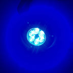 DC 10-30V 12W IP68 316 Stainless 6 LEDs Blue Light Underwater Light Boat High Power Bright for Marine / Yacht, 12W Blue Light