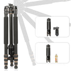 TRIOPO 554 Adjustable Portable  Aluminum Alloy Tripod with D-2A Ball Head for SLR Camera, 554
