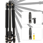 TRIOPO 853 Adjustable Portable Carbon Fiber Tripod with D2-A Ball Head for SLR Camera, 853