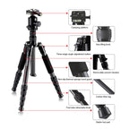 TRIOPO T259G+Q2 Adjustable Portable Carbon Fiber Tripod with Q-2 Ball Head for SLR Camera, T259G+Q2