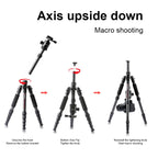 TRIOPO T259G+Q2 Adjustable Portable Carbon Fiber Tripod with Q-2 Ball Head for SLR Camera, T259G+Q2