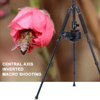 TRIOPO Oubao A-608S  Adjustable Portable  Aluminum Alloy Tripod with Ball Head for SLR Camera, -608S