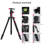 TRIOPO Oubao TA300 Adjustable Portable Aluminum Alloy Tripod with Ball Head for SLR Camera, TA300
