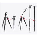 TRIOPO T258 Aluminum Alloy Tripod Monopod with D2 Ball Head, T258+D2