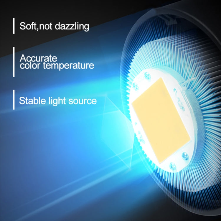 LT LT200D 150W Continuous Light LED Studio Video Fill Light, LT200D
