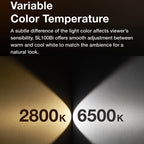 Godox SL100BI 100W 2800-6500K LED Light Studio Continuous Photo Video Light, SL100BI