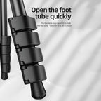 BEXIN TA255-BS30 Portable Collapsible Aluminum Alloy Camera Tripod with Head, TA255-BS30