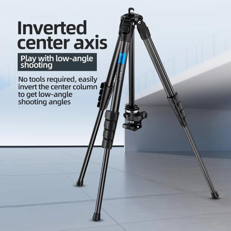 BEXIN TA254-BS30 Portable Collapsible Aluminum Alloy Camera Tripod with Head, TA254-BS30