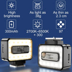Desiontal F03 Mini On-Camera Flash Light Speedlite for Mirrorless Cameras, F03