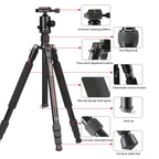 TRIOPO M2508 Multifunction Adjustable 4-Section Portable Aluminum Alloy Tripod Monopod with D-2A Ball Head for SLR Camera, M2508+D2A
