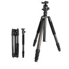 BEXIN W324C G44 Carbon Fiber Tripod Stable Shooting Camera for Vdeo Point Dslr Camera