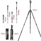 BEXIN W324C G44 Carbon Fiber Tripod Stable Shooting Camera for Vdeo Point Dslr Camera