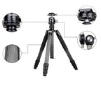 BEXIN W324C M44 Carbon Fiber Tripod Stable Shooting Camera for Vdeo Point Dslr Camera
