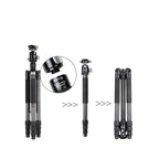 BEXIN W324C M44 Carbon Fiber Tripod Stable Shooting Camera for Vdeo Point Dslr Camera