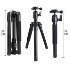 BEXIN MS12 Portable Lightweight Camera Ball Head Tripods Stand for Digital SLR DSLR camera