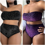 Plus-size Sexy Leopard Print High Waist Two Piece Bikini Swimsuit, L, XL, XXL, XXXL, XXXXL