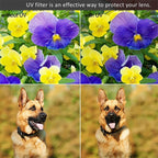 Kenko Optical Camera Lens UV Filter, 37mm, 40.5mm, 82mm, 86mm, 95mm