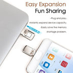 USB 3.1 + USB-C Interface Metal Twister Flash U Disk, Standard, 128G, 64G, 32G