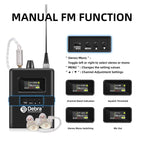 DEBRA SW-1 Professional Stage Wireless Stereo Monitor System with One Receivers, SW-1