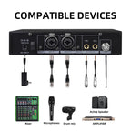 DEBRA SW-1 Professional Stage Wireless Stereo Monitor System with One Receivers, SW-1