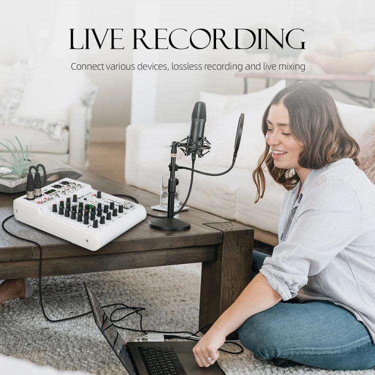 DEBRA PRMX-6 4-Channels Audio Mixer DSP Reverb for Live Recording, PRMX-6