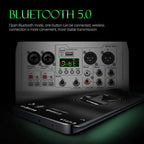 DEBRA PRMX-6 4-Channels Audio Mixer DSP Reverb for Live Recording, PRMX-6