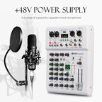 DEBRA PRMX-6 4-Channels Audio Mixer DSP Reverb for Live Recording, PRMX-6