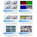 FEELWORLD SC6 6-inch 1500nit High Brightness Aluminium Filed Camera Video Monitor 3G SDI 4K HDMI-compatible 60Hz 1920 x 1080 IPS Screen, SC6
