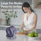 Y26 Dual-Duct Desktop Circulating Fan with Digital Display