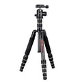 BEXIN BX255C K30 Portable Carbon Fiber Tripod for Camera Dslr, BX255C
