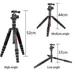 BEXIN BX255C K30 Portable Carbon Fiber Tripod for Camera Dslr, BX255C