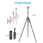 BEXIN BX255C K30 Portable Carbon Fiber Tripod for Camera Dslr, BX255C