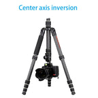 BEXIN BX255C K30 Portable Carbon Fiber Tripod for Camera Dslr, BX255C