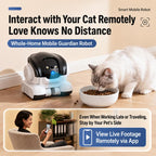 Home HD Dual Lens Smart Mobile Remote Control Pet Monitoring Camera, Type A, Type B