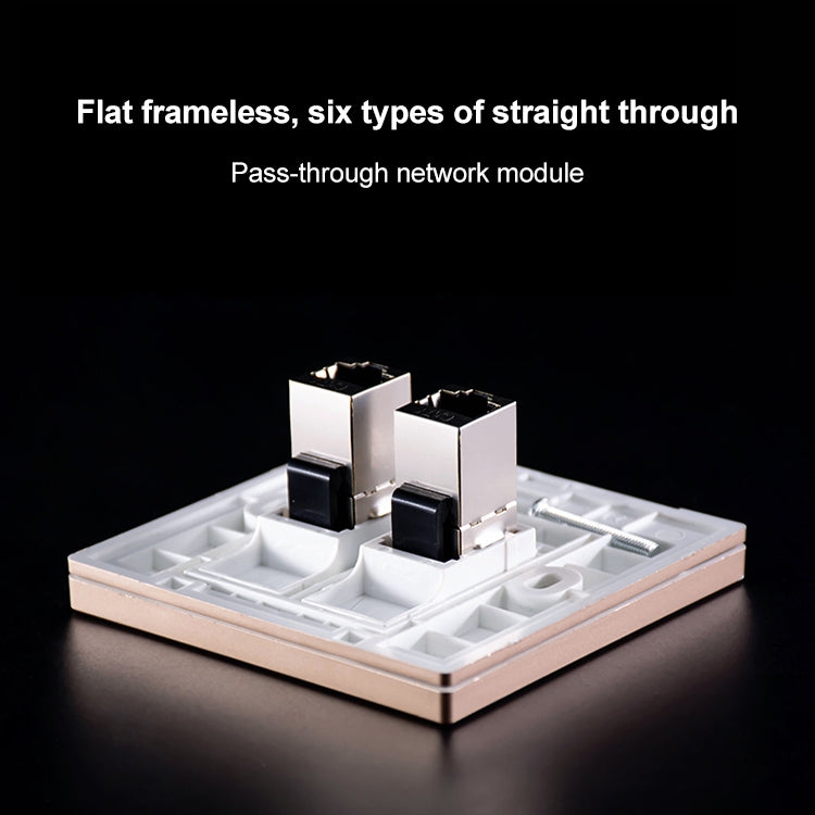CAT.6 Shielded Pass-through Network Module, Dual Ports Panel + Shielded Pass-through + Telephone Socket, Dual Ports Panel+Shielded Pass-through+Telephone Socket