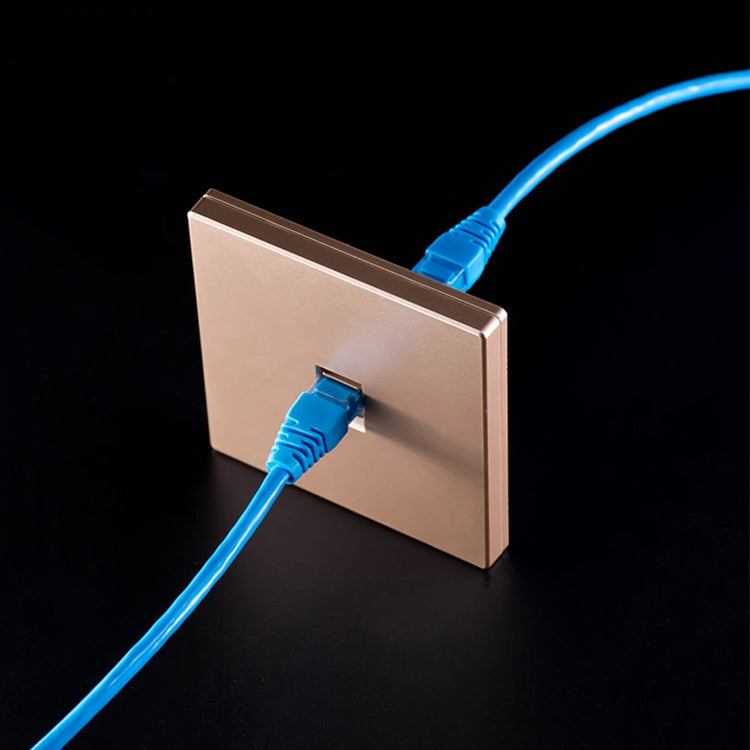CAT.6 Shielded Pass-through Network Module, Dual Ports Panel + Shielded Pass-through + TV Socket, Dual Ports Panel+Shielded Pass-through+TV Socket