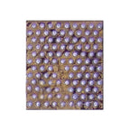 Power IC Module PM8018, PM8018