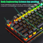 D500 RGB Brilliant Backlight Mouse and Keyboard Set