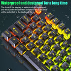 D500 RGB Brilliant Backlight Mouse and Keyboard Set