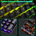 D500 RGB Brilliant Backlight Mouse and Keyboard Set