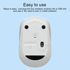 Logitech M172 1000DPI 2.4GHz Wireless Mouse, M172