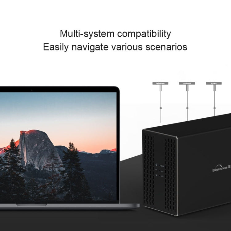 Blueendless Type-C / USB-C Interface 3.5 inch 2 Bay RAID Combination Array HDD External Enclosure, Type-C