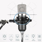 BM-700 USB Professional Condenser Microphone