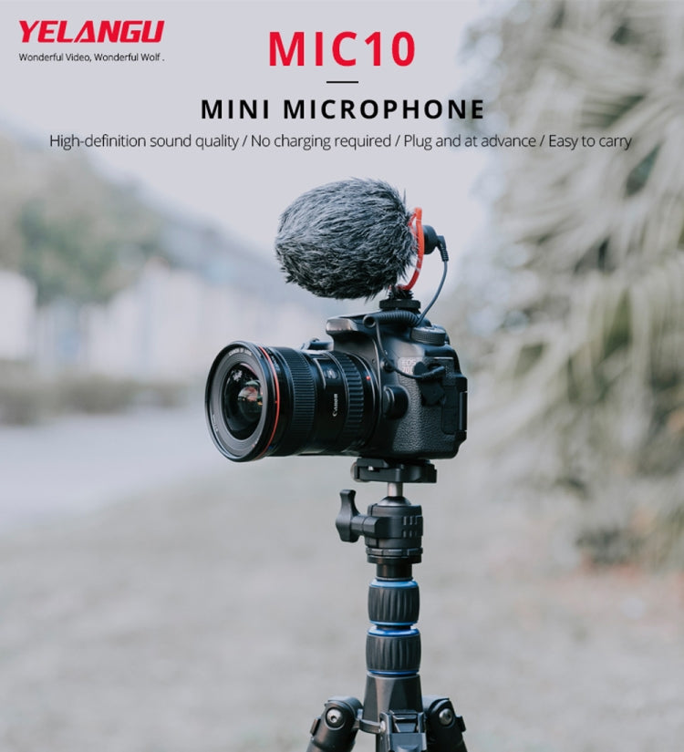 YELANGU MIC10 YLG9920A Professional Interview Condenser Video Shotgun Microphone with 3.5mm Audio Cable for DSLR & DV Camcorder, Microphone