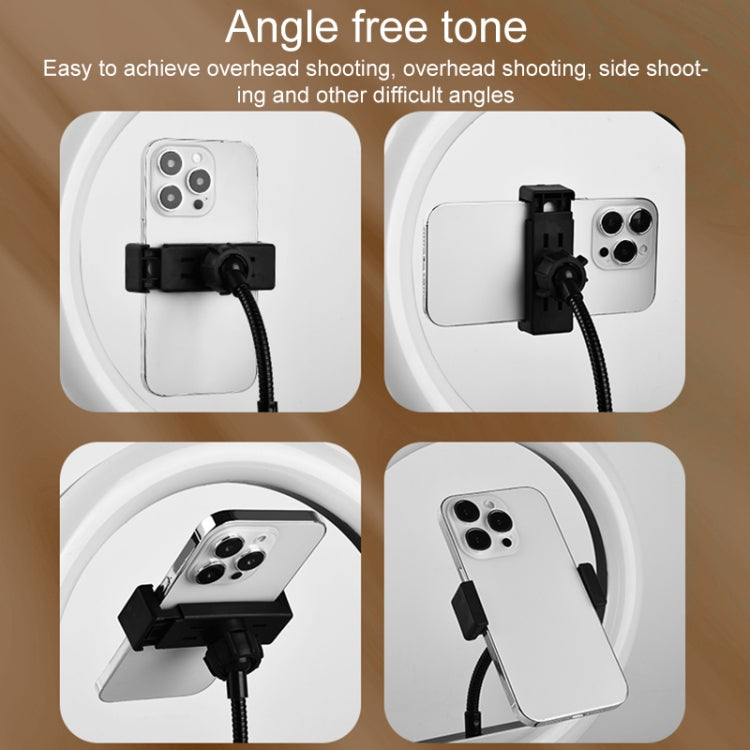 10 inch Adjustable Live Broadcast LED Fill Light Tripod with Phone Clamp